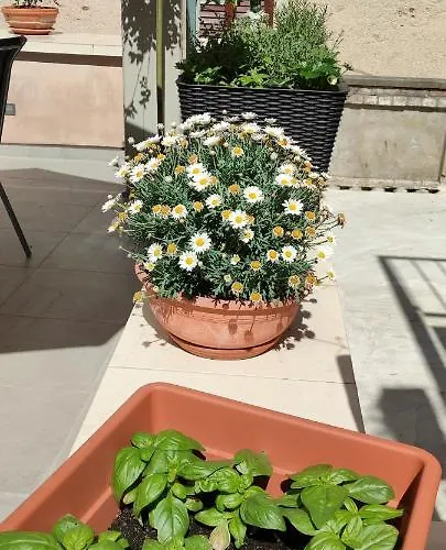 Apartament Luxury - Old Soul With A New Heart